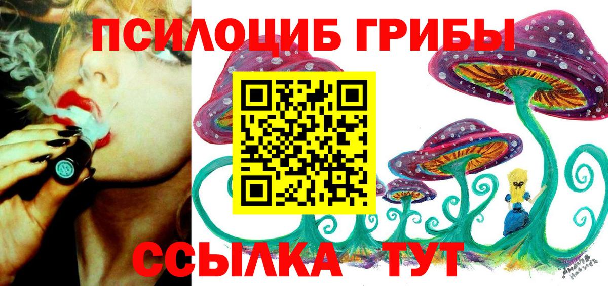 Галлюциногенные грибы Psilocybine cubensis Заволжье
